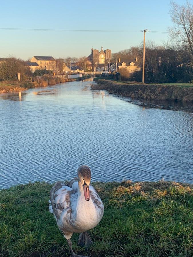 Stay Barrow Blueway - The Stables Monasterevin Eksteriør billede